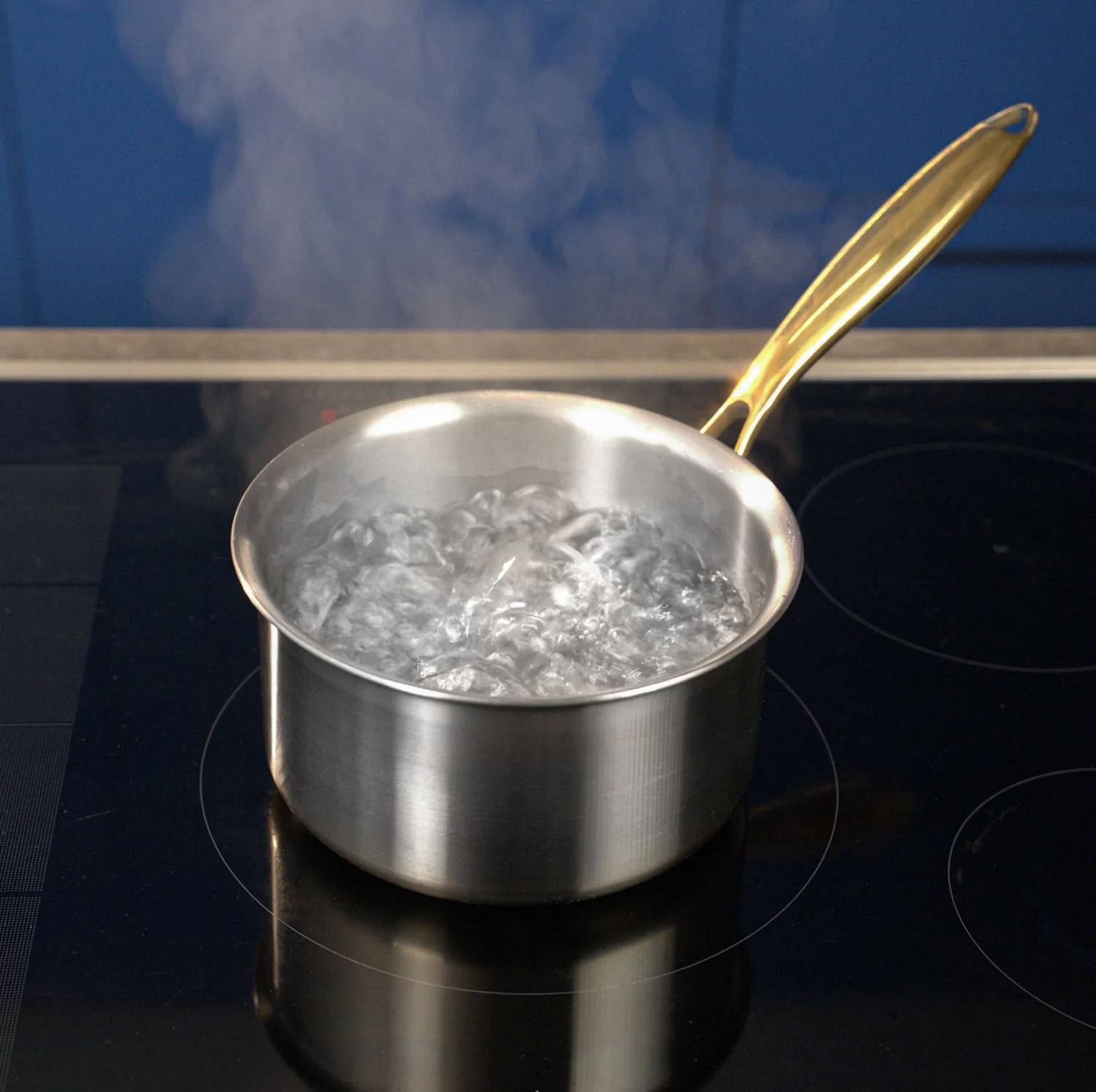 Taima Titanium Nutri Pot Pro - Image 6